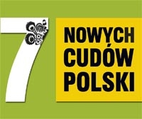 Wyniki plebiscytu \