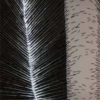 Polsko-Bułgarski projekt “Archeological culture in contemporary textile art