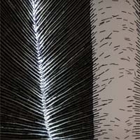 Archeology Culture in Contemporary Textile Art w Sofii