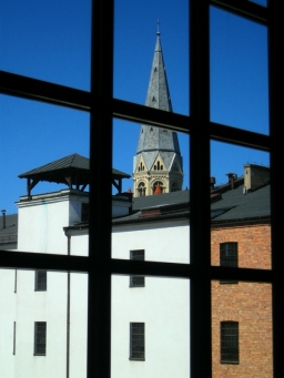 <p>Fot. M. Chrząszcz</p>