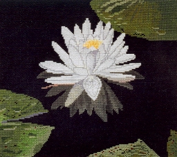Grążel, 2002 