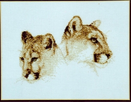 Pumy, 2004 