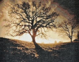 Krystyna Klimczak, Łódź<br/>"Zachód słońca"
