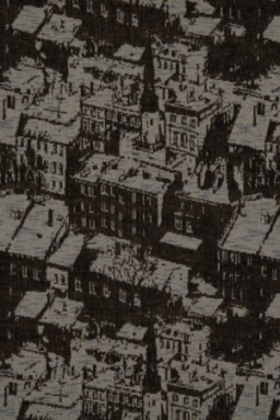 Małgorzata Siwek, "Moje miasto", tkanina podwójna żakardowa<br/>Łódź; 2004, fragment