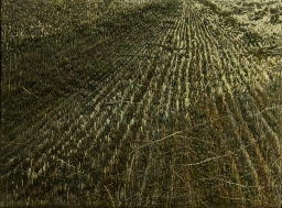Idę z cyklu Droga / Going from the cycle Road – Anna Więckowska-Kowalska, Łódź (miniatura: 14,5 x 16,5 cm)
