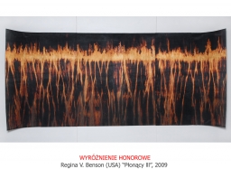 HONORARY MENTION; Regina V. Benson (USA) ”Ablaze III”, 2009