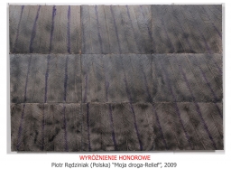 HONORARY MENTION; Piotr Rędziniak (Poland)”My way - Relief”, 2009