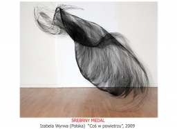 SILVER MEDAL; Izabela Wyrwa (Poland) "Something in the air", 2009