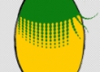 Image01