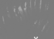 Image01