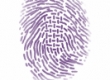 Image01