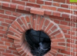 Image01