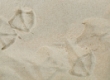 Image01