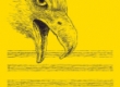 Image01