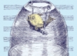 Image01