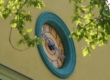 Image01