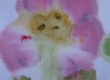 Image01