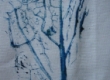 Image01