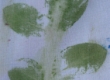 Image01