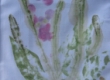 Image01
