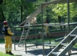 Image01