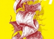 Image01