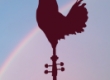 Image01